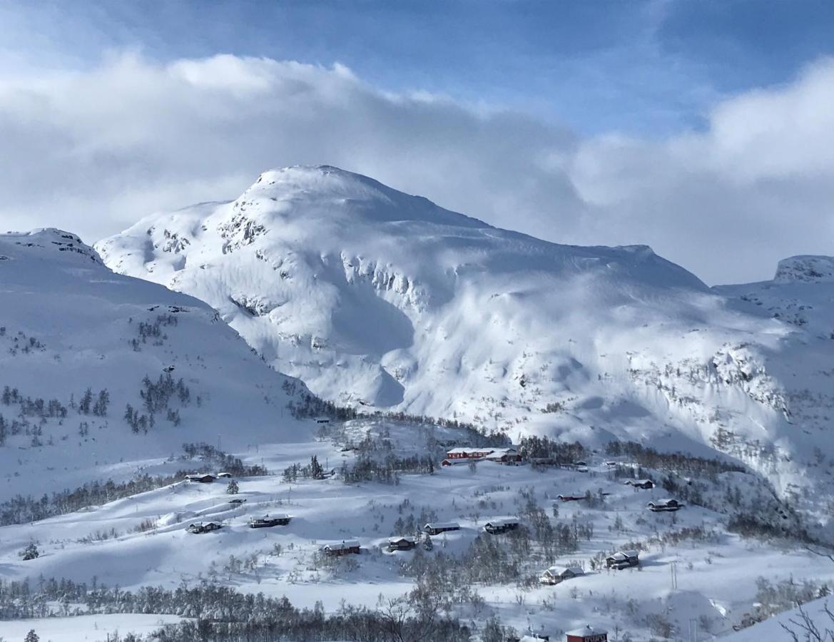 Vatnahalsen Hoyfjellshotell Myrdal Dış mekan fotoğraf
