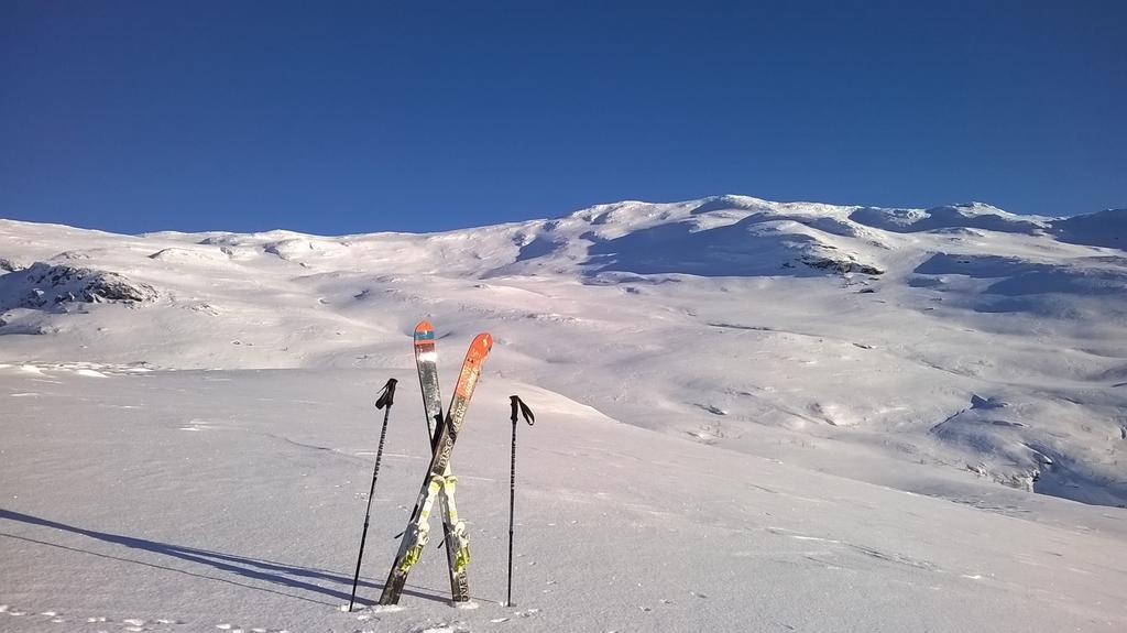 Vatnahalsen Hoyfjellshotell Myrdal Dış mekan fotoğraf