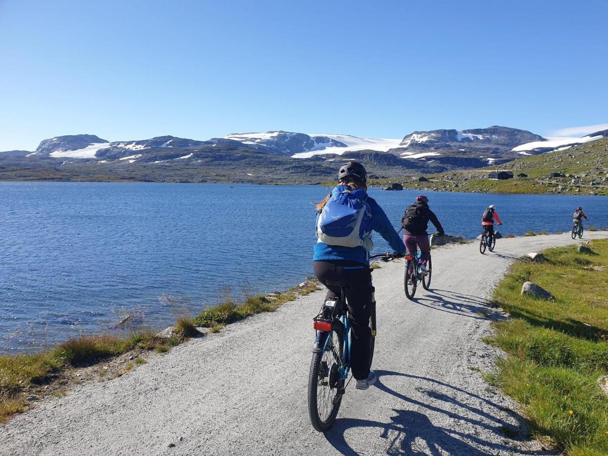 Vatnahalsen Hoyfjellshotell Myrdal Dış mekan fotoğraf