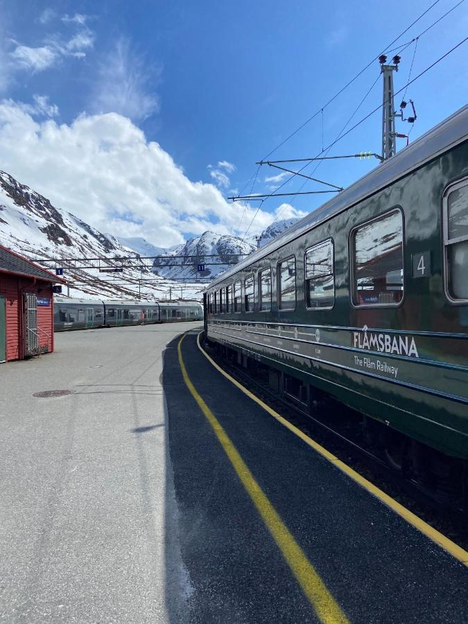 Vatnahalsen Hoyfjellshotell Myrdal Dış mekan fotoğraf