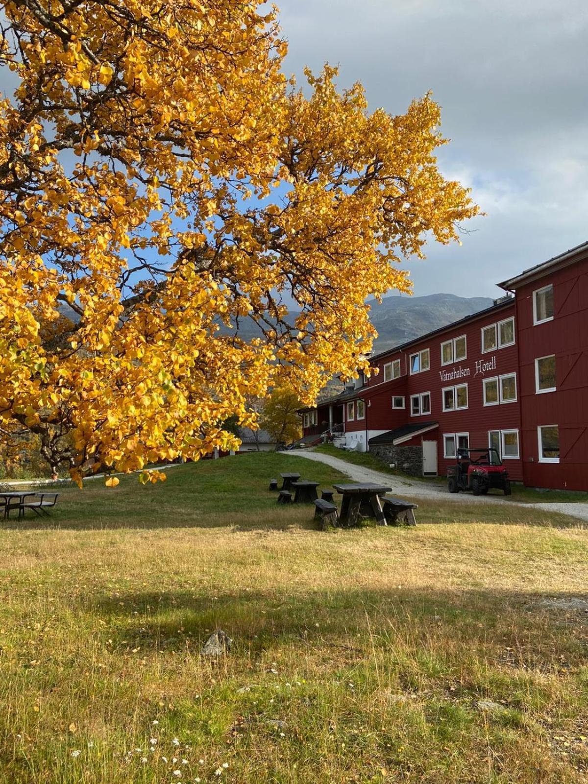 Vatnahalsen Hoyfjellshotell Myrdal Dış mekan fotoğraf