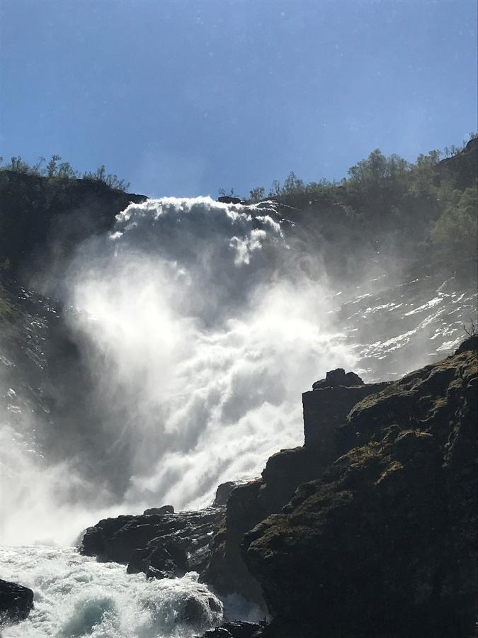 Vatnahalsen Hoyfjellshotell Myrdal Dış mekan fotoğraf