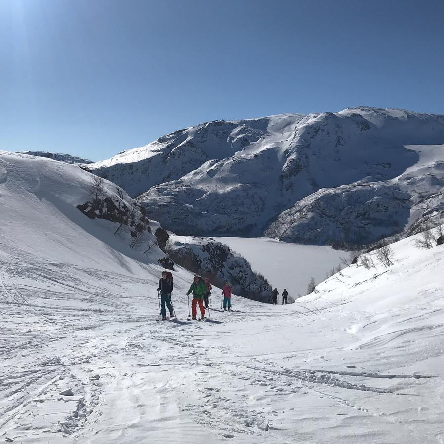 Vatnahalsen Hoyfjellshotell Myrdal Dış mekan fotoğraf